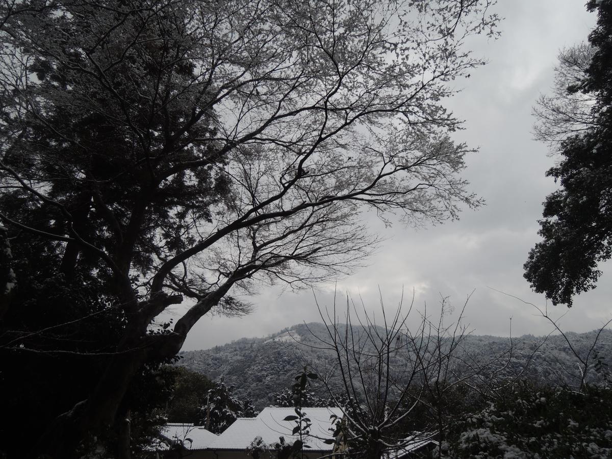 Ryokan Inn Yoshida-Sanso Kyoto Buitenkant foto